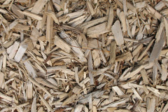 biomass boilers Wervin